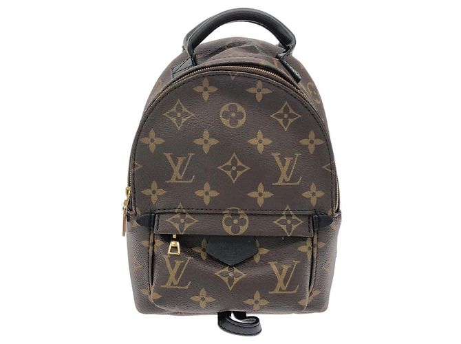 Louis Vuitton Monogram Palm Springs Backpack MINI M44873 Marron