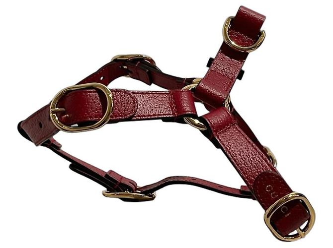 Harnais pour chien & chat Gucci Red