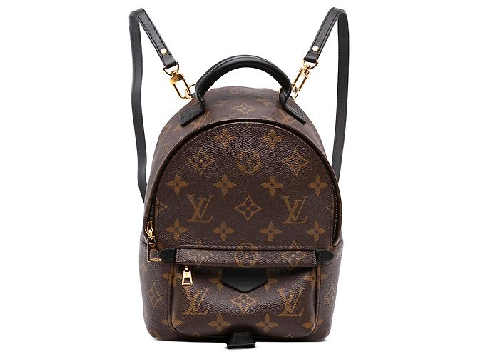 Louis Vuitton Brown Monogram Mini Palm Springs Braun