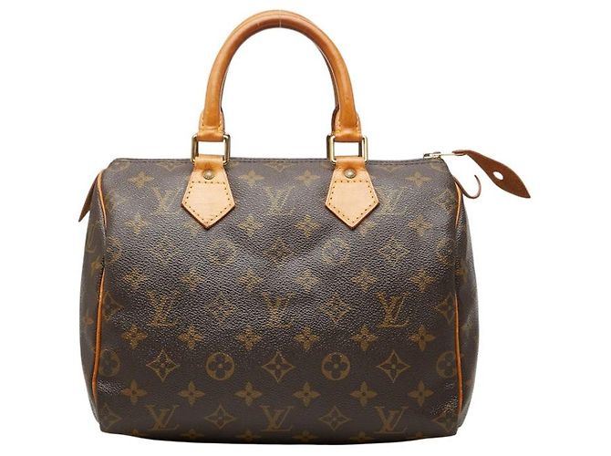 Louis Vuitton Speedy 25 Mini Boston Bag Marron