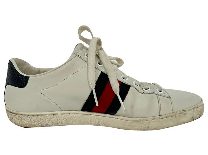 Baskets Gucci Ace Low-Top en cuir blanc Écru