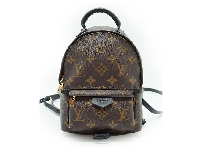 Louis Vuitton Monogram Palm Springs Mini Marrom Preto