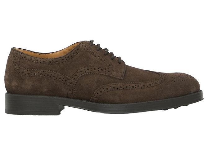 Scarpe stringate in camoscio marrone Tod's