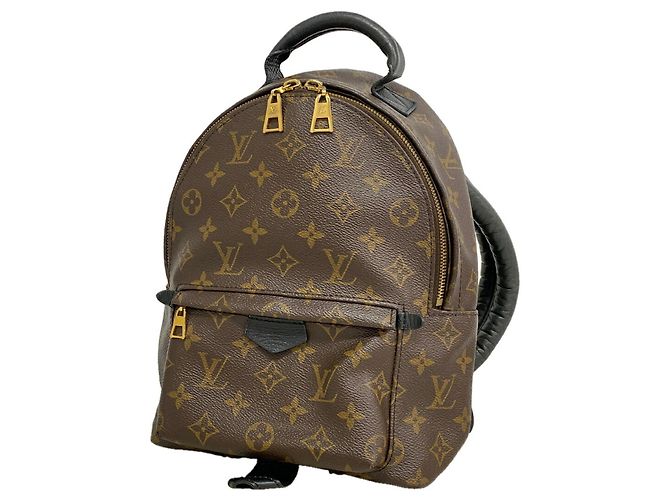 Louis Vuitton Monogram Palm Springs Backpack PM M44871 Brown