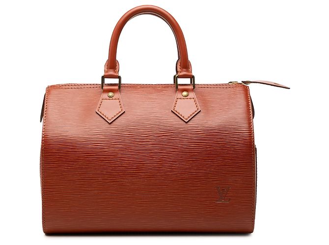 Louis Vuitton Brown Epi Speedy 25 Marrom