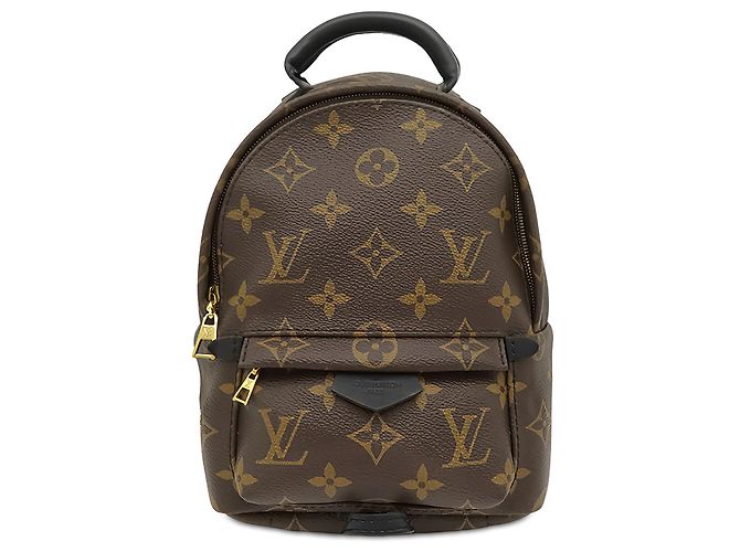 Louis Vuitton Brown Monogram Mini Palm Springs Marrom