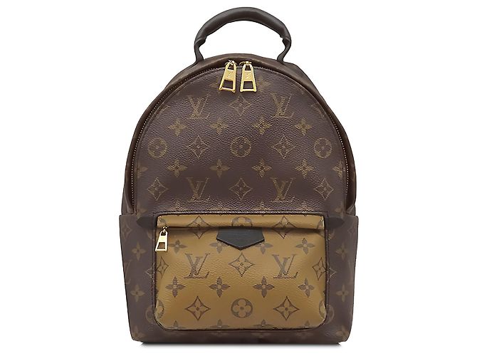 Louis Vuitton Brown Monogram Reverse Palm Springs PM