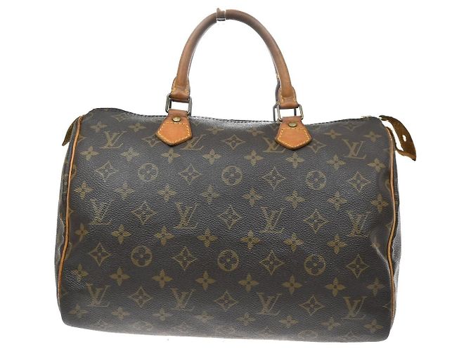 Louis Vuitton Speedy Monogram Canvas 30