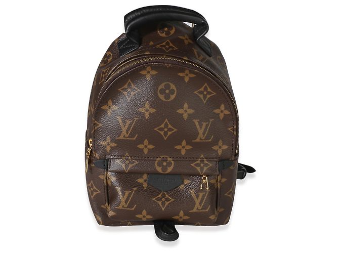 Louis Vuitton Mini Palm Springs Rucksack aus Monogram Canvas Braun