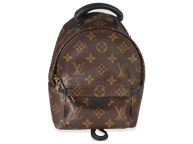 Louis Vuitton Monogram Canvas Mini Palm Springs Marron