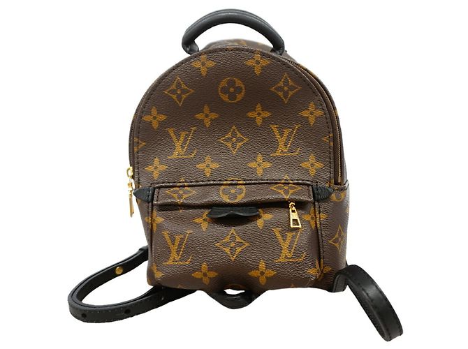 Louis Vuitton Monogram Palm Springs Mini Rucksack