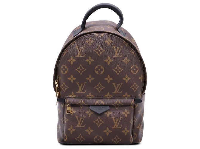 Louis Vuitton Brown Monogram Palm Springs PM
