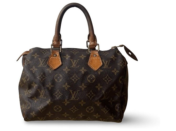 Louis Vuitton Speedy 25