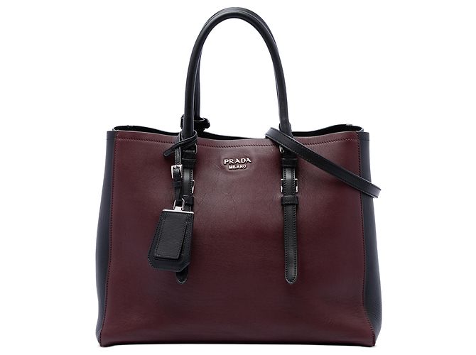Prada Red Medium Bicolor City Calf Double Satchel