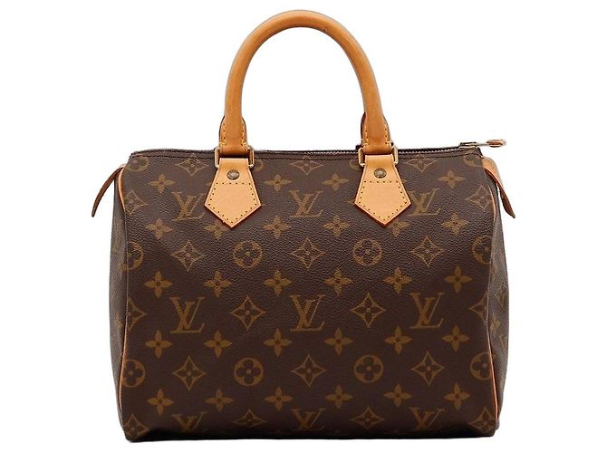 Louis Vuitton Speedy 25 Monogram Canvas