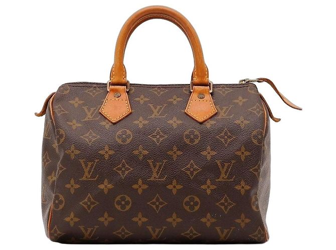 Louis Vuitton Speedy 25 Monogram Canvas