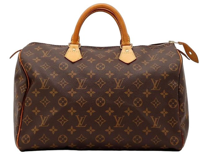 Louis Vuitton Speedy 30 Monogram