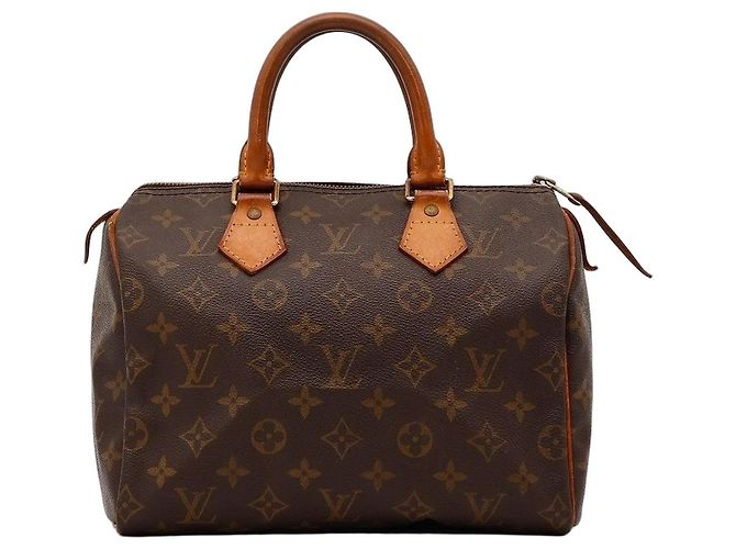Louis Vuitton Speedy 25 Monogram Canvas