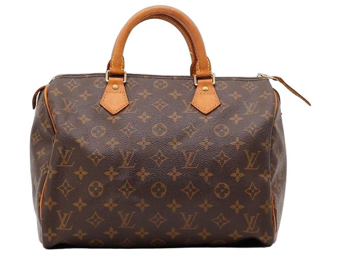 Louis Vuitton Speedy 30 Monogram Canvas