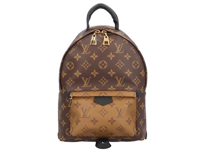 Louis Vuitton Palm Springs PM Backpack