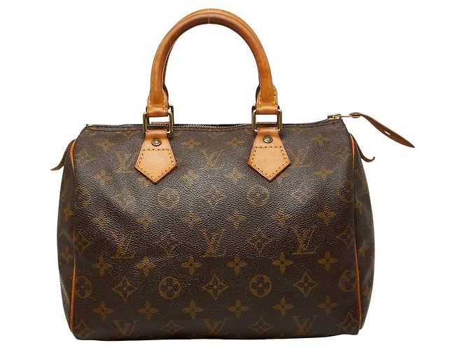 Louis Vuitton Speedy 25 Mini Boston Bag
