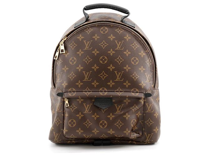 Palm Springs Louis Vuitton Monogram Handbag