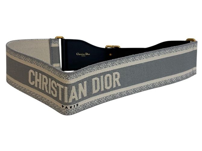Cinto Christian Dior Cinza