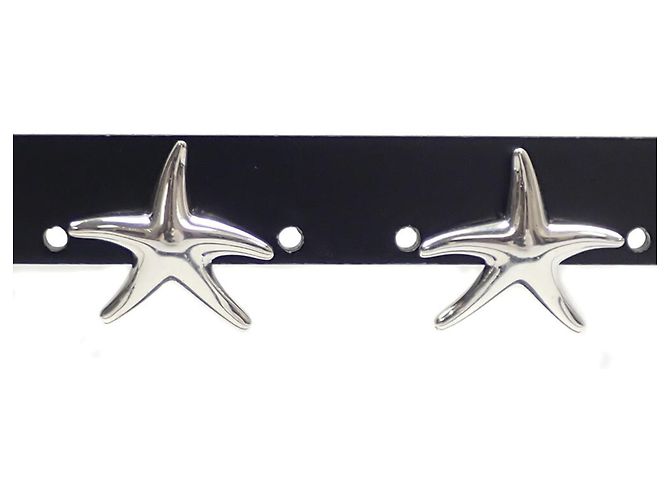 Autre Marque Brincos de estrela do mar em prata Tiffany & Co.