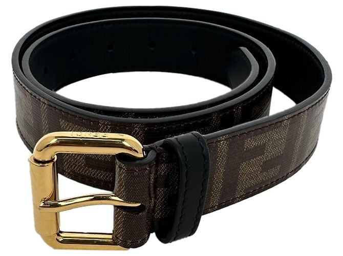 Fendi Monogram Utility Belt in Brown Leather