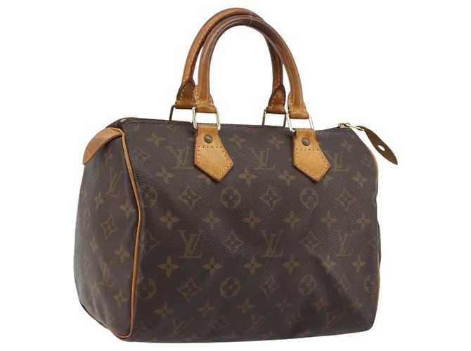Louis Vuitton Speedy Monogram Canvas 25