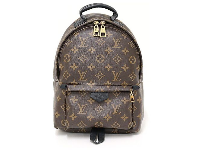 Louis Vuitton Palm Springs PM Monogram Rucksack