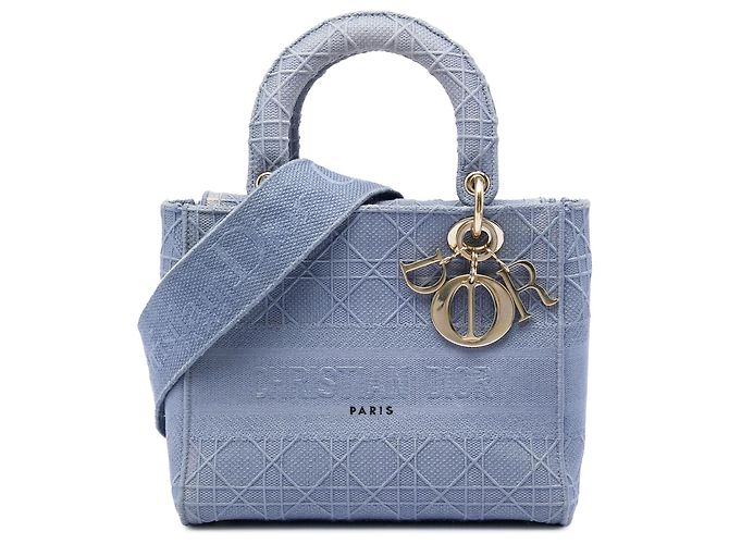 Dior Blue Medium Embroidered Canvas Cannage Lady D Lite