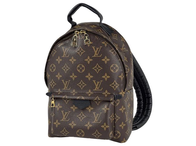 Louis Vuitton Palm Springs Backpack PM