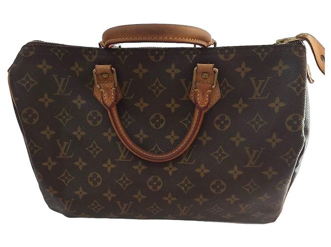Louis Vuitton Speedy 30 Monogram