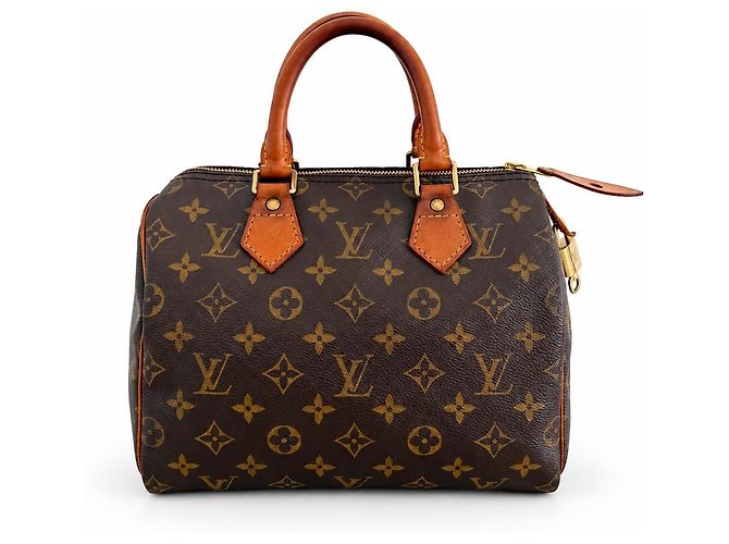 Louis Vuitton Speedy 25 Monogram Canvas
