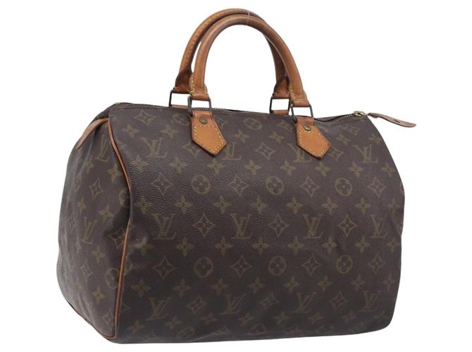 Louis Vuitton Speedy Monogram Canvas 30