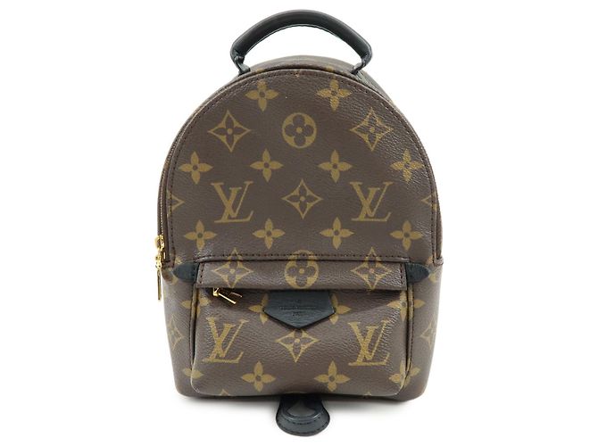 Louis Vuitton Palm Springs Monogram Canvas Mini