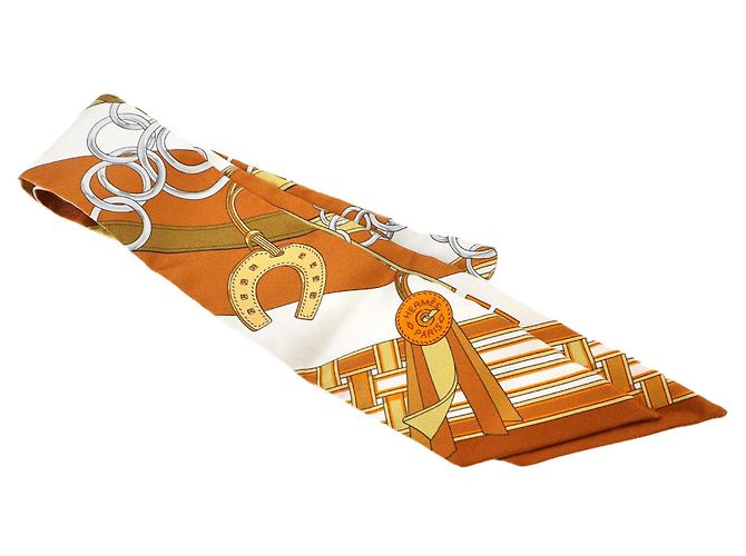 Hermès Twilly Hermes Multi-color