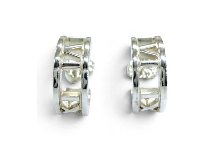 Autre Marque Orecchini a cerchio Tiffany Open Atlas