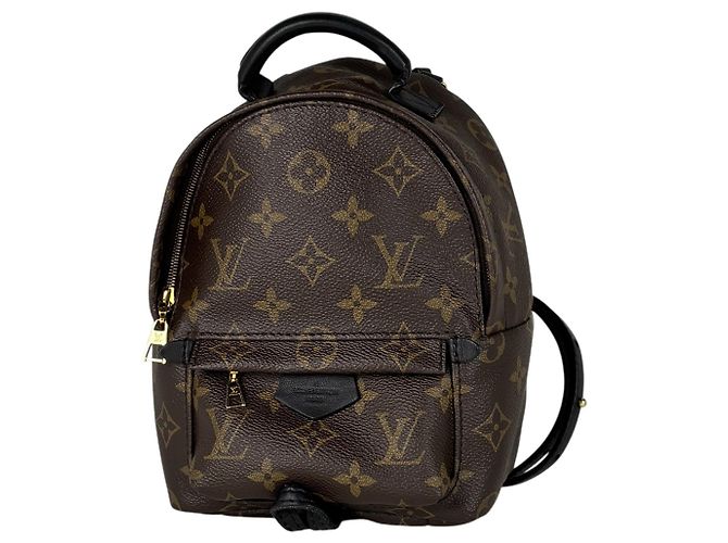 Louis Vuitton Palm Springs Backpack MINI