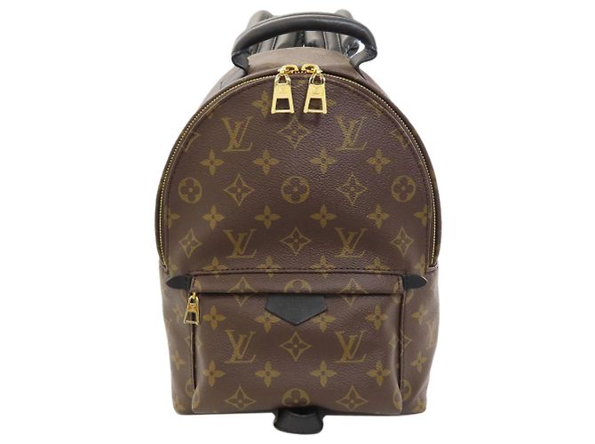 Louis Vuitton Palm Springs PM Backpack