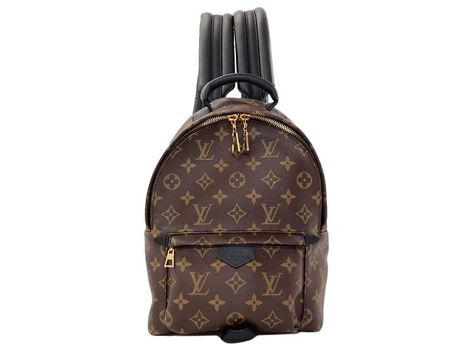 Louis Vuitton Palm Springs PM Backpack