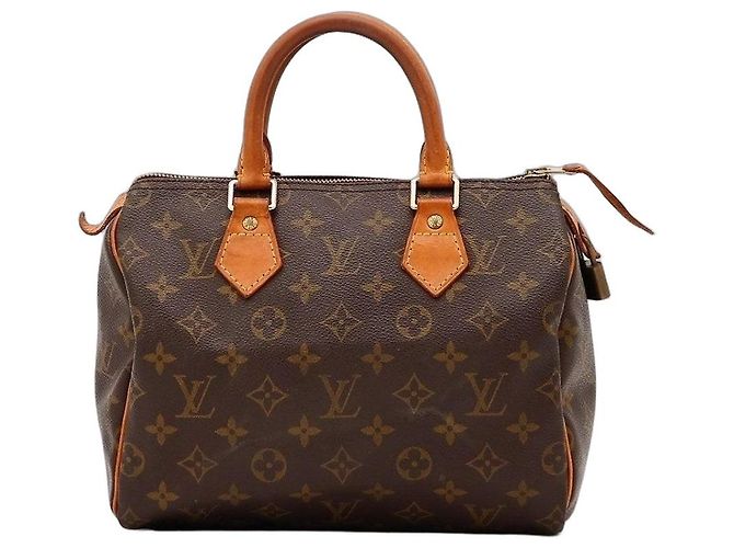Louis Vuitton Speedy 30 Monogram Canvas