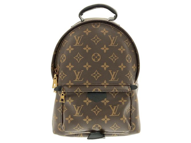 Louis Vuitton Palm Springs Monogram Backpack
