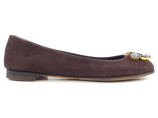 Autre Marque Chaussures plates Giuseppe Zanotti
