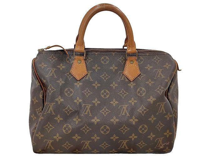 Louis Vuitton Speedy Monogram Canvas 30