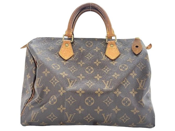 Louis Vuitton Speedy Monogram Multicolor 30