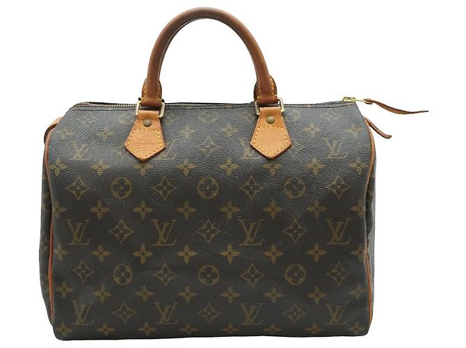 Louis Vuitton Speedy Monogram Canvas 30