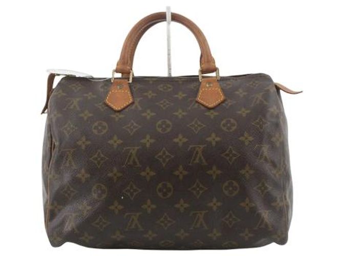 Louis Vuitton Speedy Monogram Canvas 30