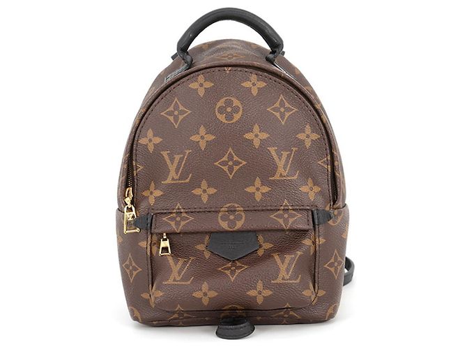 Louis Vuitton Monogram Palm Springs Mini Backpack